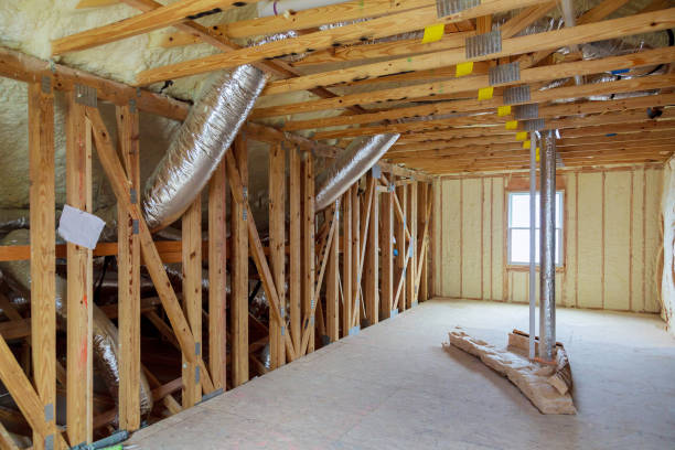 Best Spray Foam Insulation  in Ripley, TN