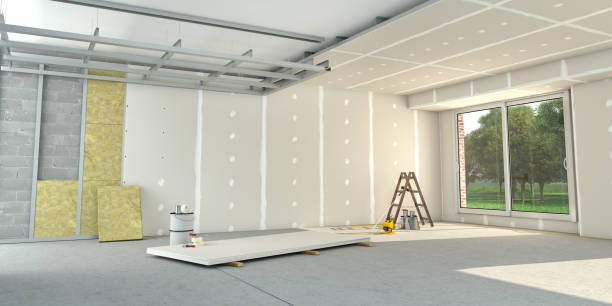 Best Insulation Contractor Near Me  in Ripley, TN