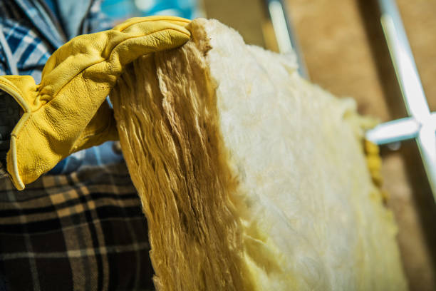 Best Residential Insulation Services  in Ripley, TN