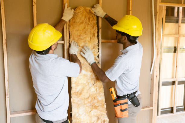 Best Insulation Removal  in Ripley, TN