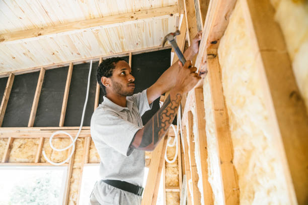 Best Attic Insulation Installation  in Ripley, TN