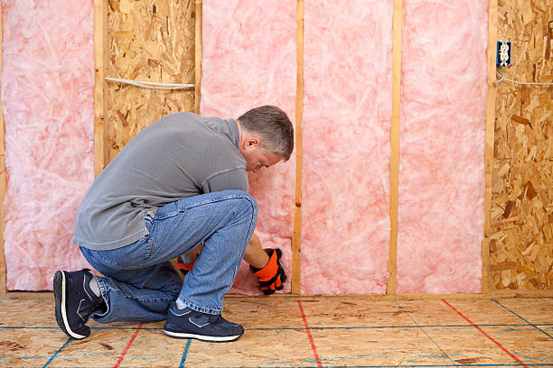 Insulation Repair Services in Ripley, TN