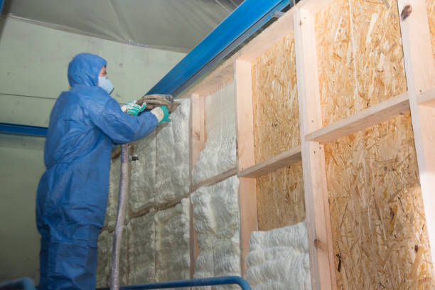 Best Local Insulation Services  in Ripley, TN