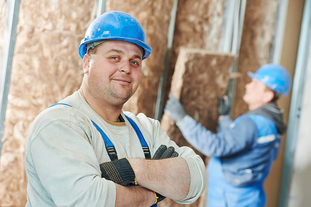 Best Spray Foam Insulation  in Ripley, TN