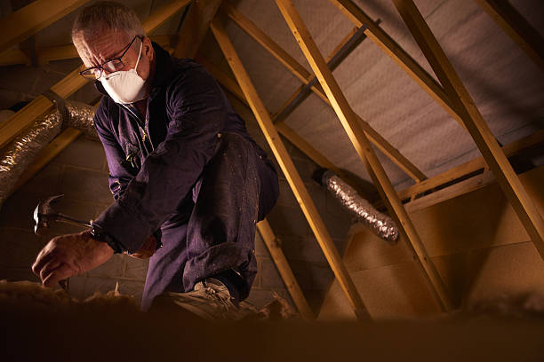 Best Insulation for New Construction  in Ripley, TN